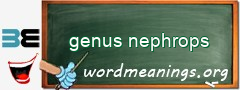WordMeaning blackboard for genus nephrops